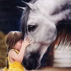 Meet your Posher, Neil